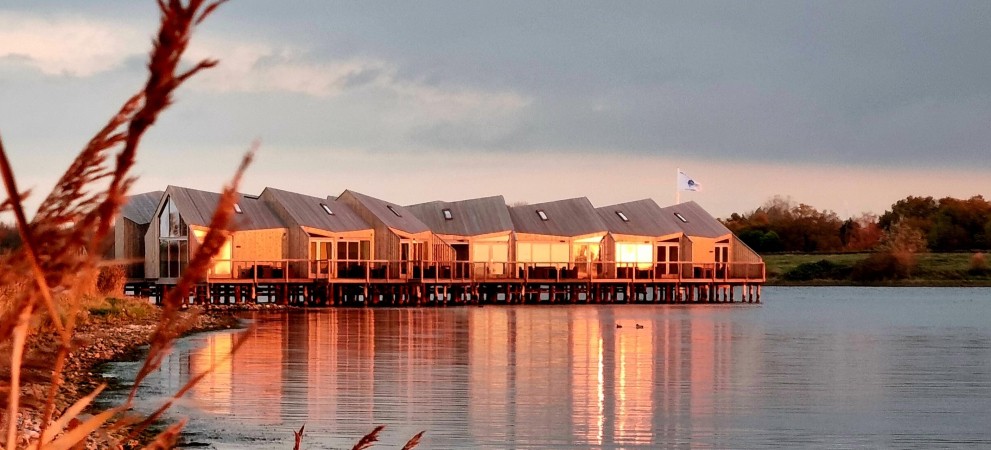 1000028160.jpg 1000028160.jpg