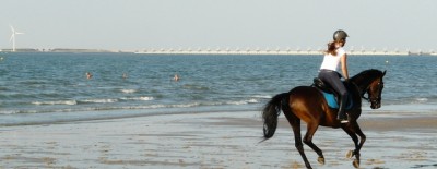 Foto paardrijden.jpg