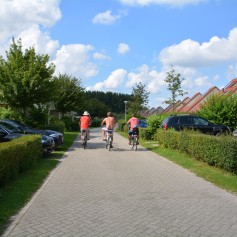 DSC_0247.JPG