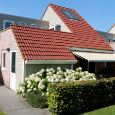 IJsvogel 1 (1).JPG