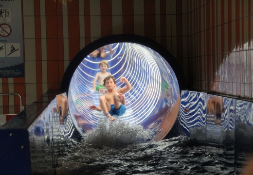 animatie 2011 002.jpg