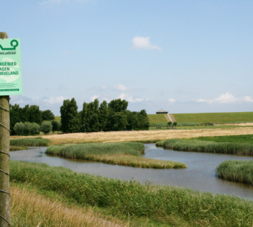 Inlagen NB