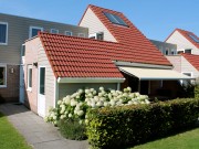 IJsvogel Algemeen 1.JPG