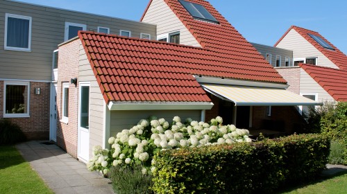 IJsvogel Algemeen 1.JPG