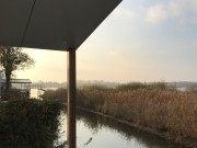 IMG_4579.jpg