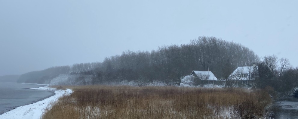 Winter 2021-08.jpg