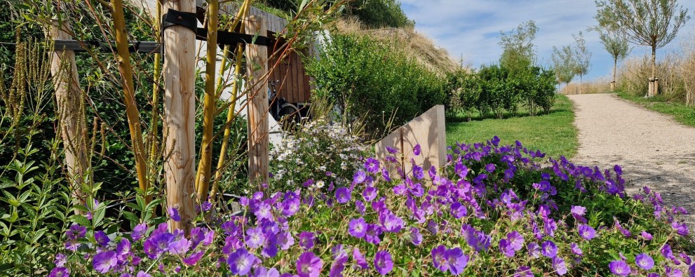 Bloemen op de dijk.jpg
