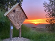 Insecten hotel met uizicht.jpg