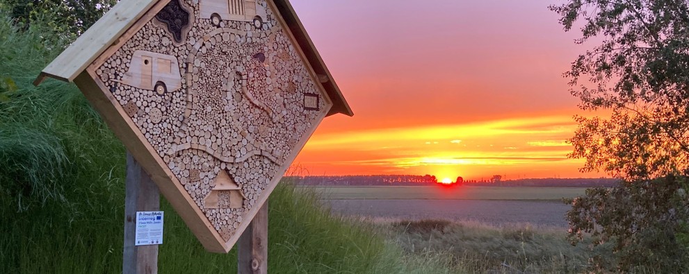 Insecten hotel met uizicht.jpg