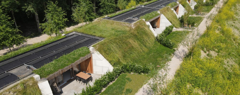 DJI_0131_bewerkt_gras.jpg
