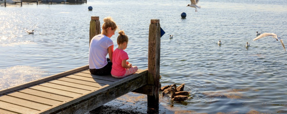 Paardekreek - Header
