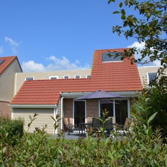 DSC_0244.JPG