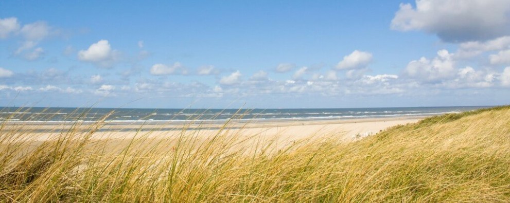 Strand-zeeland-1024x683.jpg