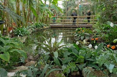 Foto berkenhof.jpg