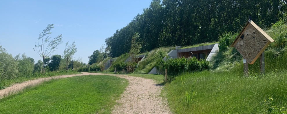 Zeeuwse Dijksuite 6 juni 6.jpg