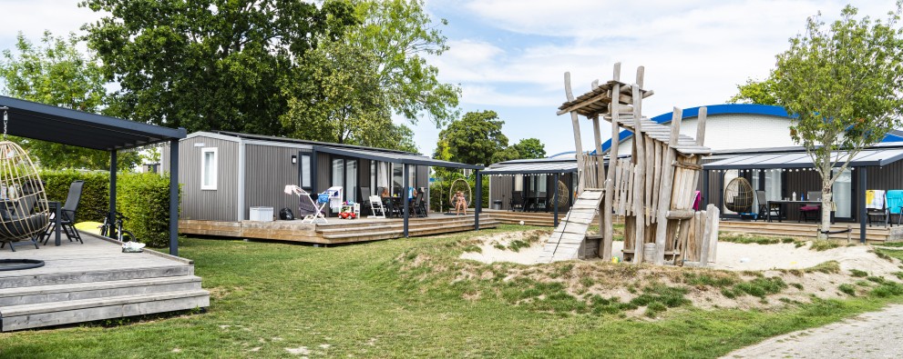 Veld Zilverreigers Paardekreek.jpg