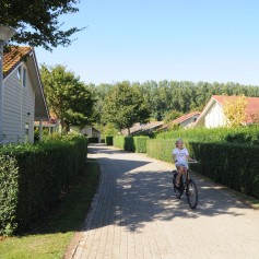 Straatje Villapark de Paardekreek.JPG