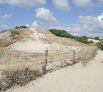 Zeepeduinen.jpg