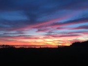 IMG_5953.JPG