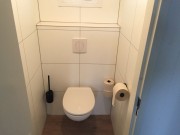 toilet.jpeg
