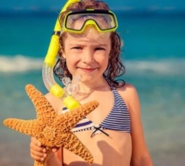 Snorkelen Paardekreek