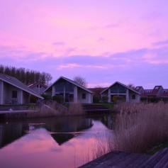 DSC_0141.JPG